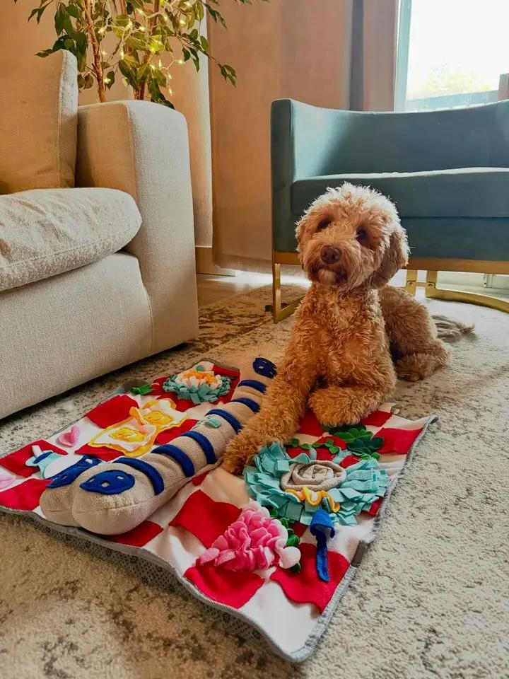 Tapis à renifler couineur pour chiens – Jeu interactif de recherche de nourriture, 61 cm