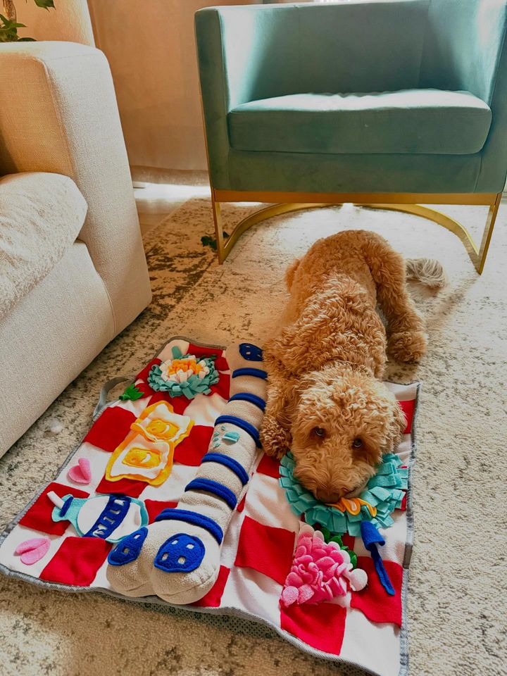 Tapis à renifler couineur pour chiens – Jeu interactif de recherche de nourriture, 61 cm