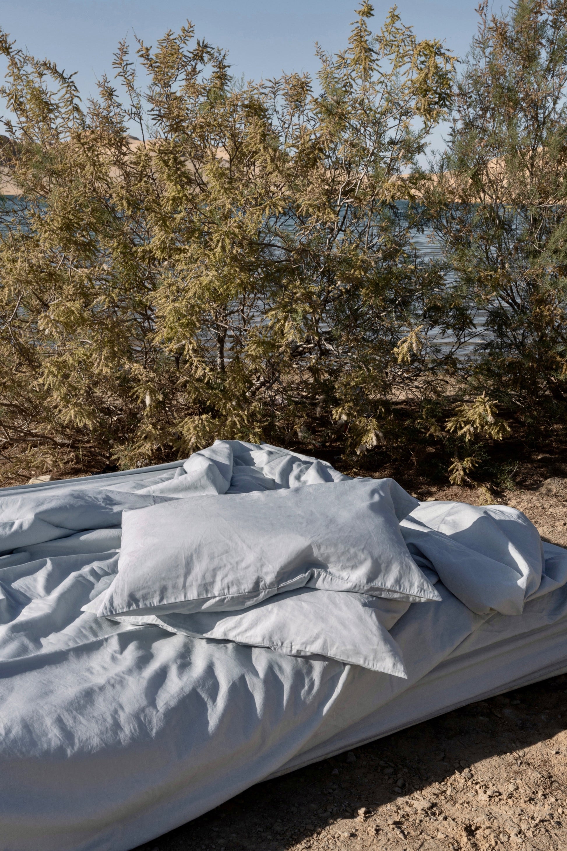 Linen Duvet Cover and Pillow Sham Set