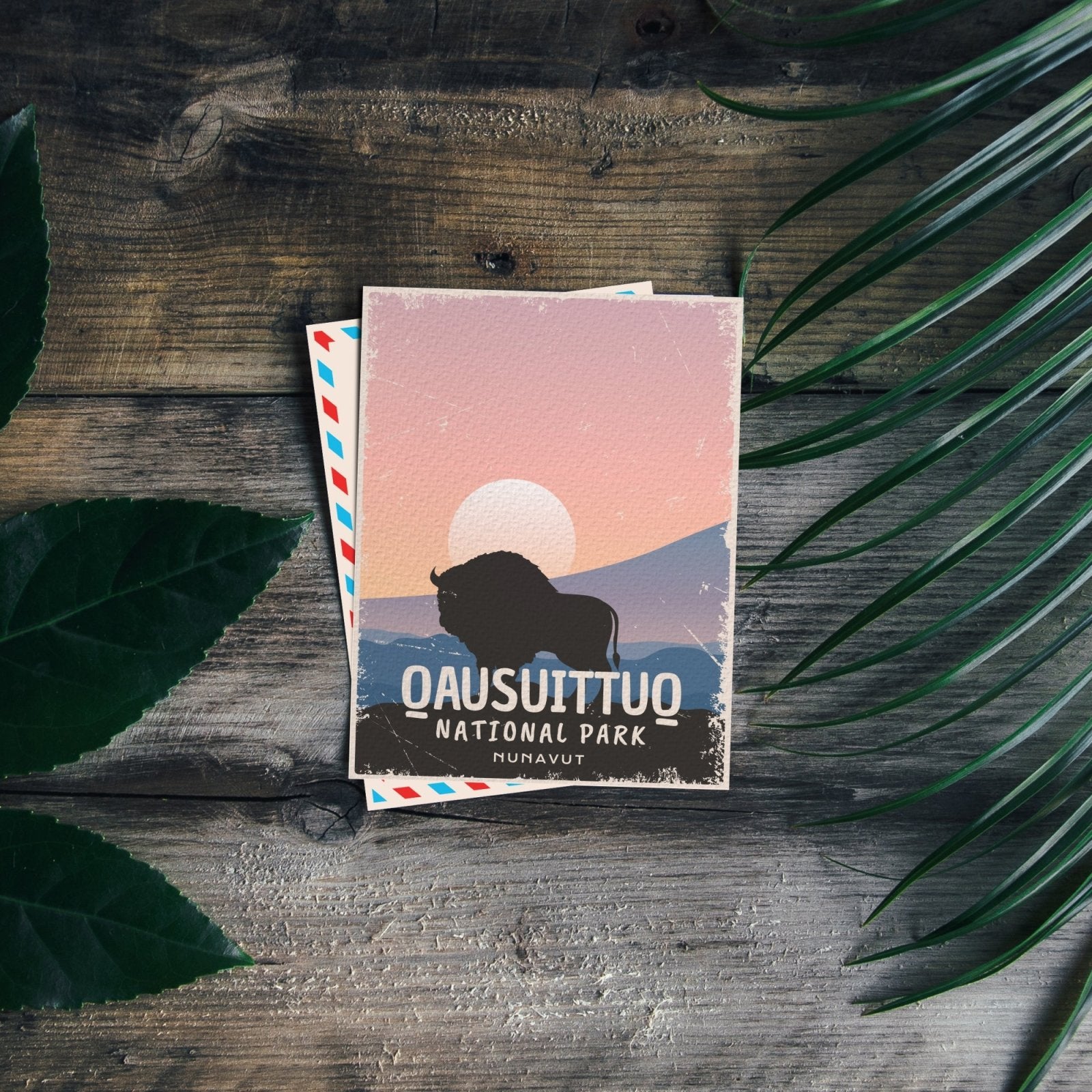 Qausuittuq National Park of Canada Postcard