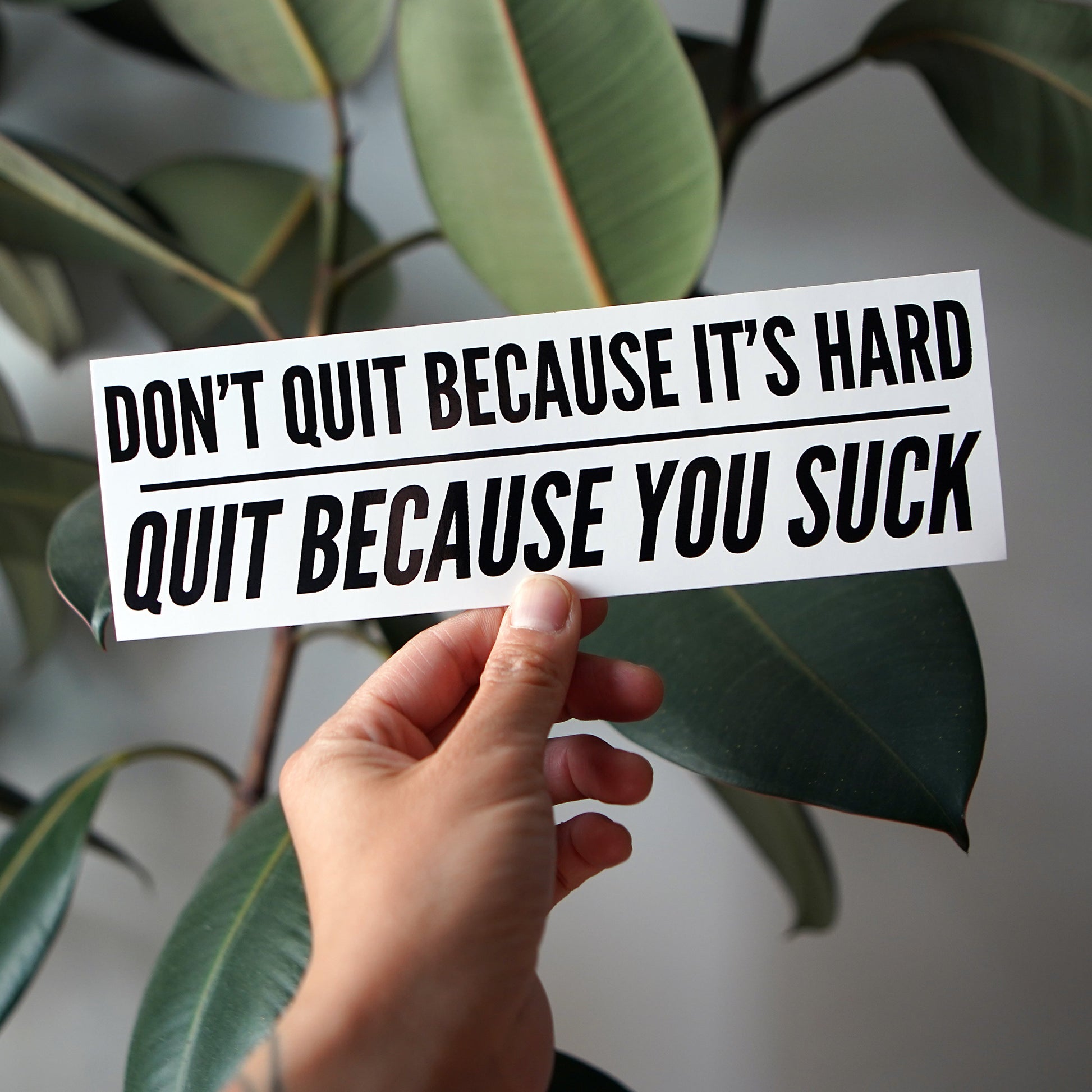 Quit Because You Suck Bumper Sticker