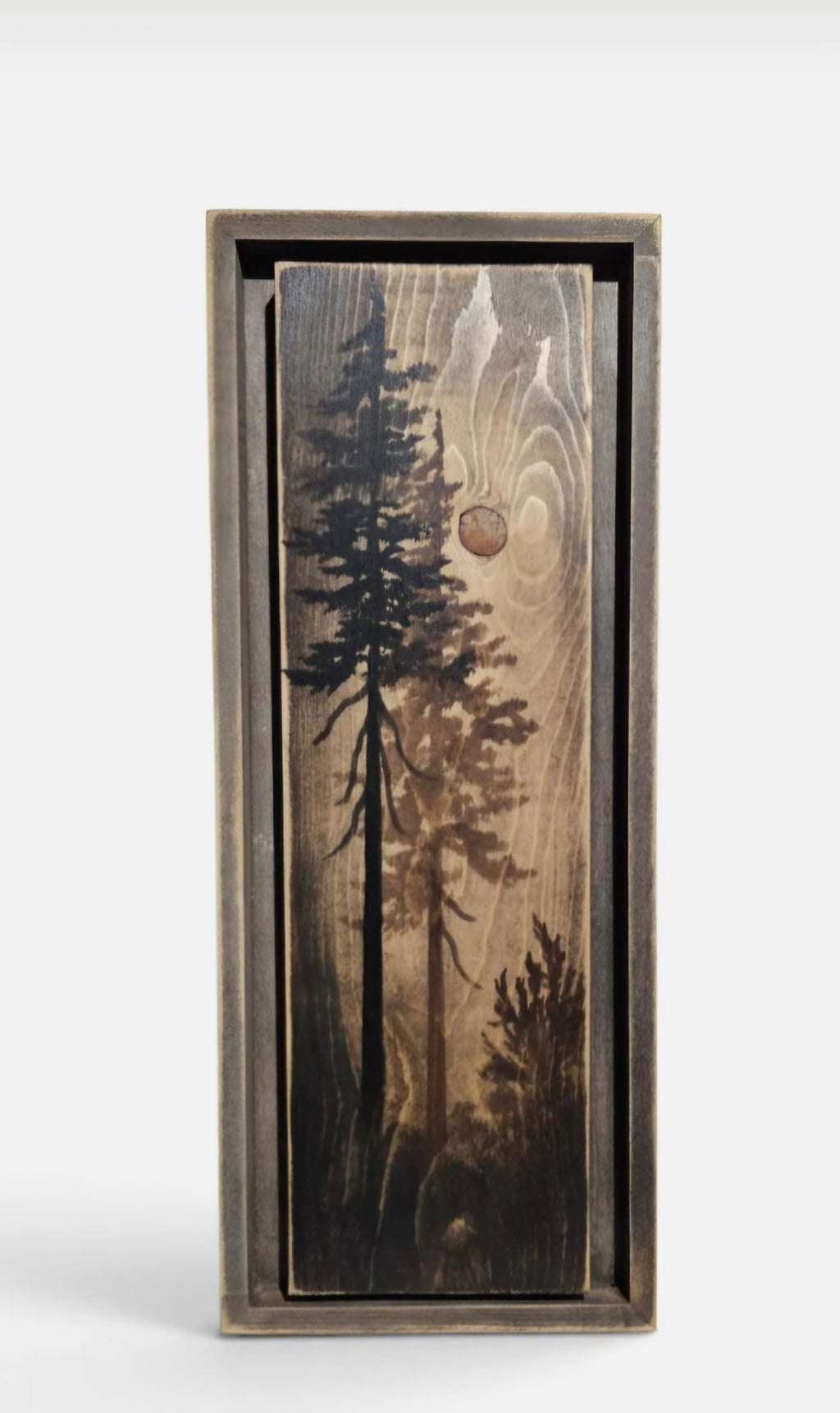 Hand painted and framed wall art decor on wood (19.5" by 7.75")