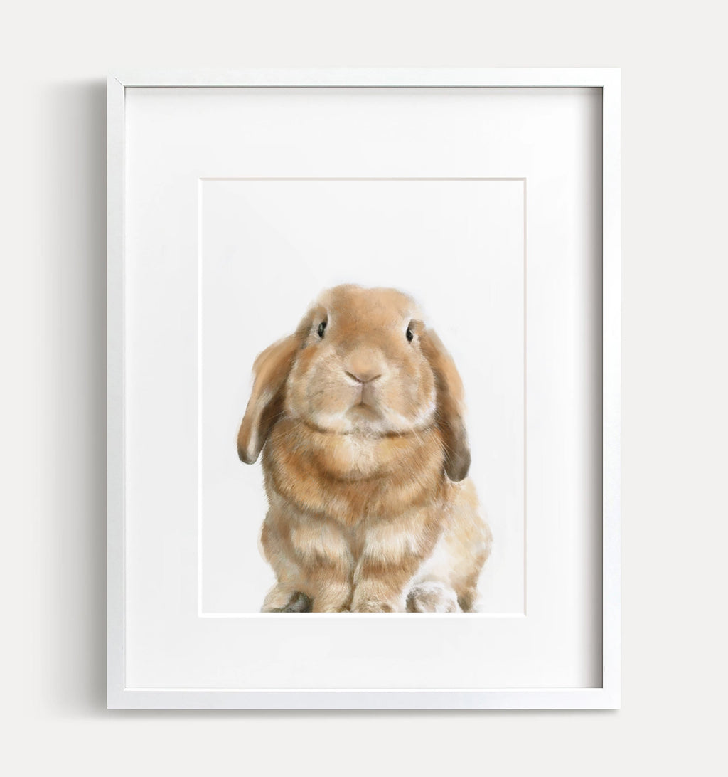 Lop Rabbit Art Print