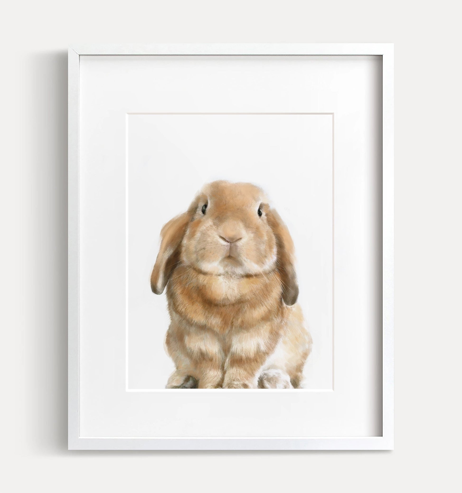 Lop Rabbit Art Print