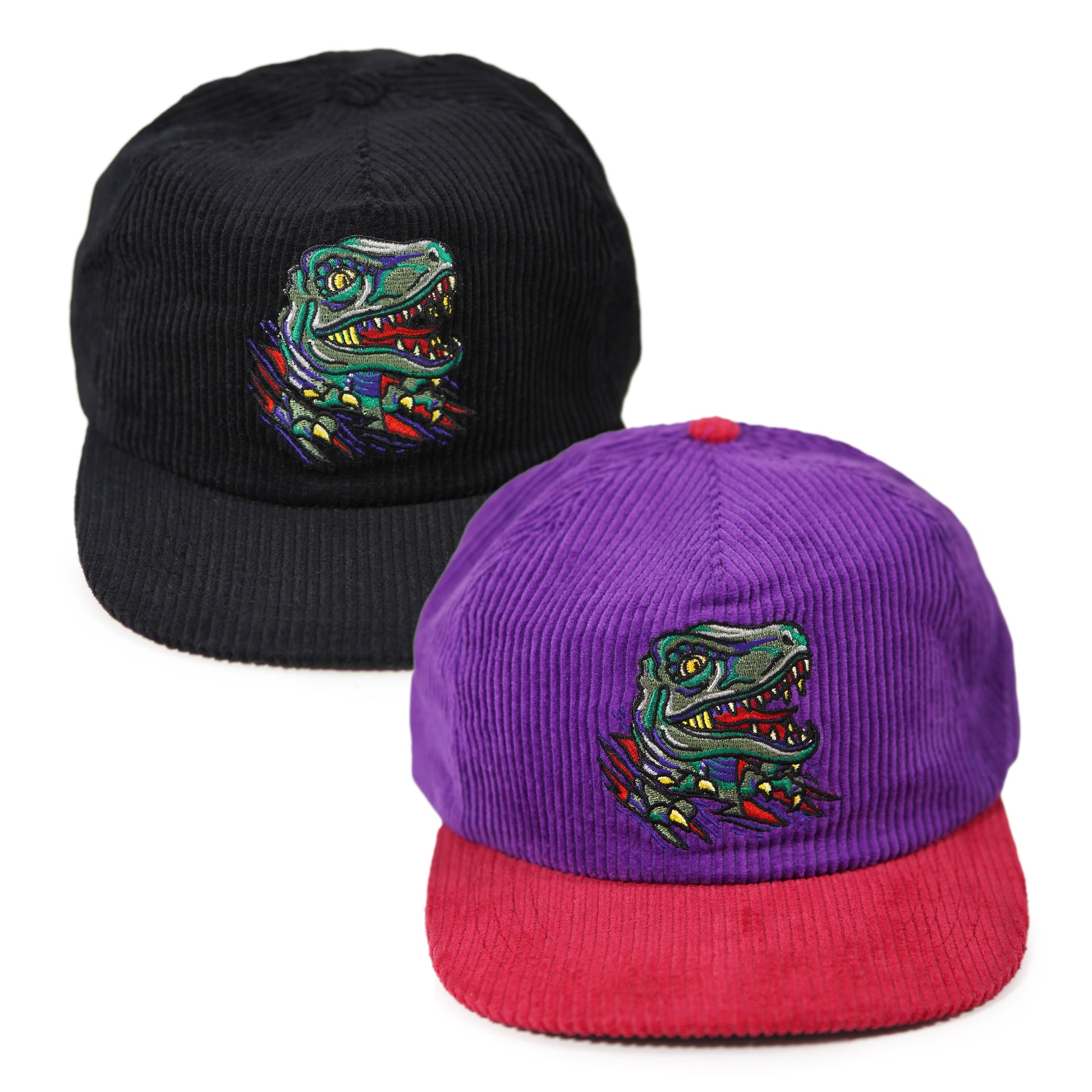 Raptor Corduroy Hat