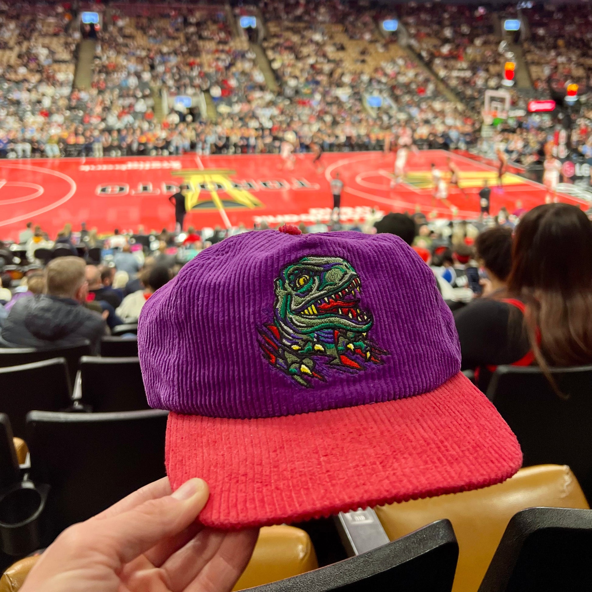 Raptor Corduroy Hat