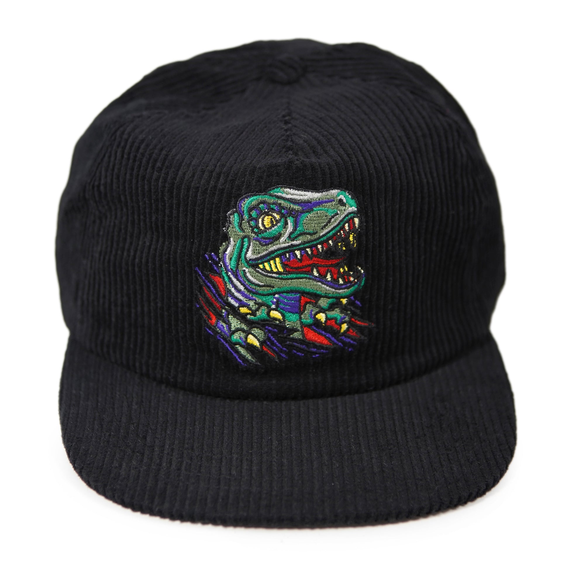 Raptor Corduroy Hat