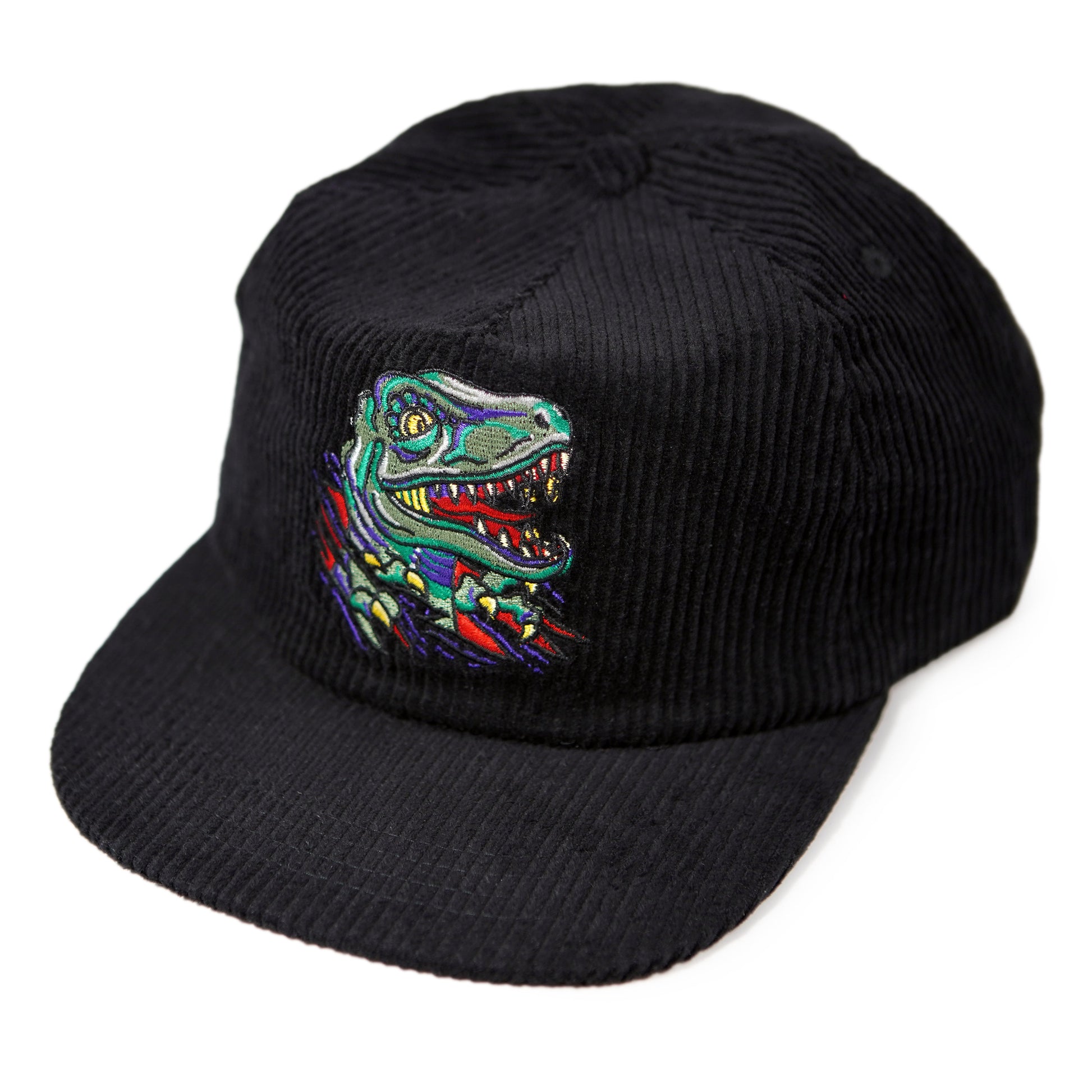 Raptor Corduroy Hat