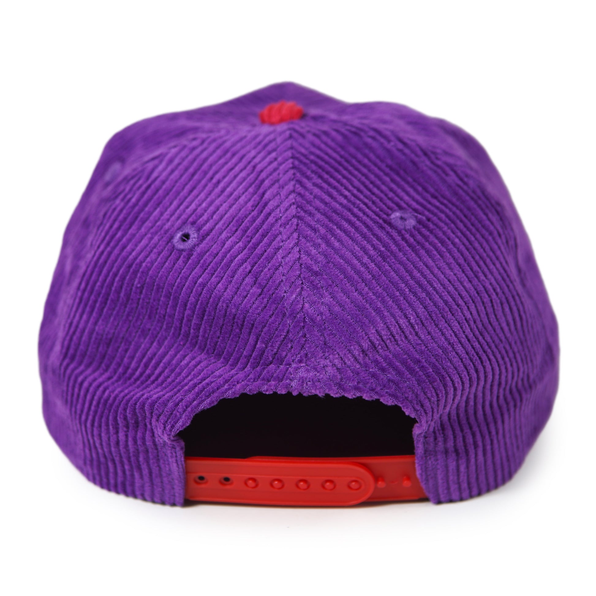 Raptor Corduroy Hat