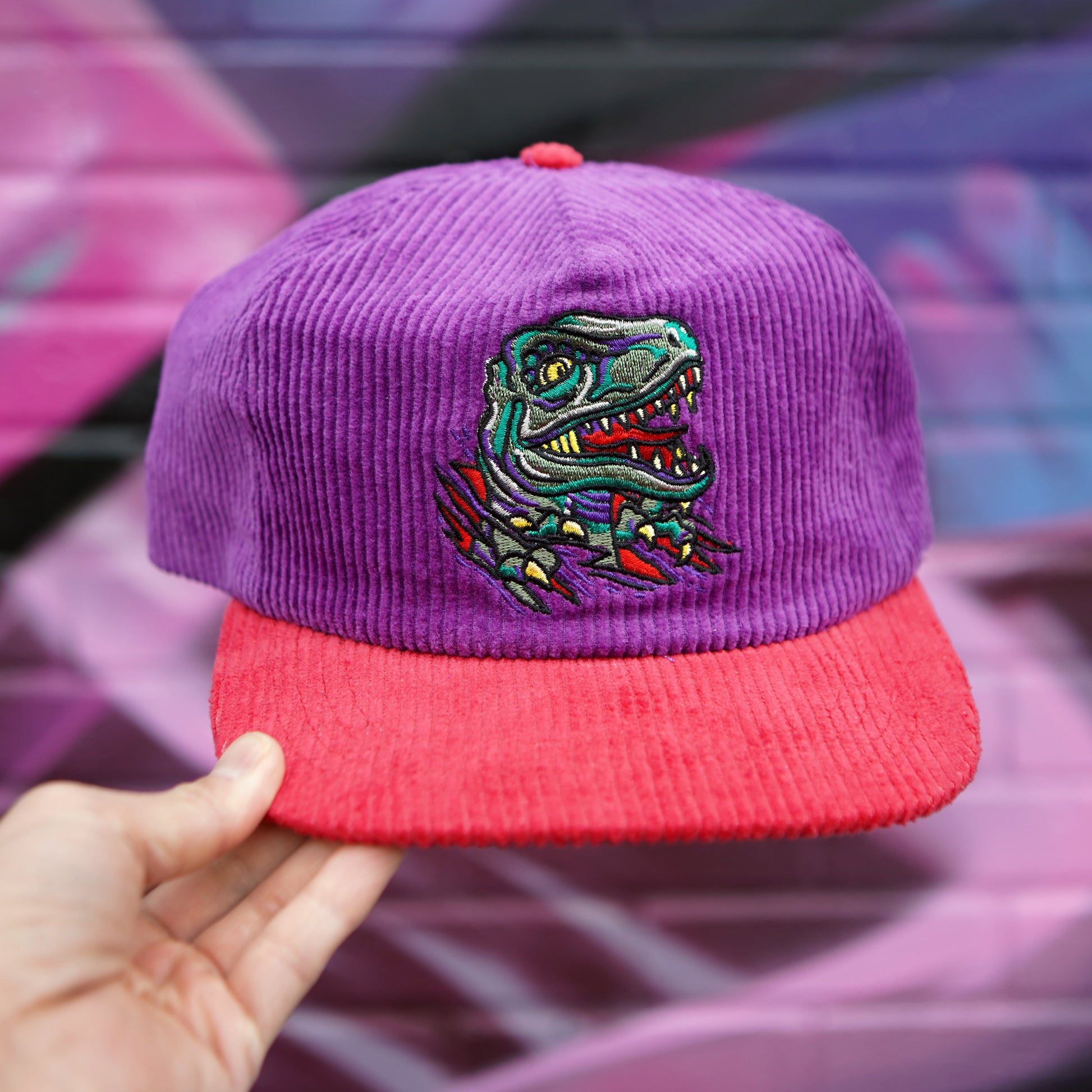 Raptor Corduroy Hat