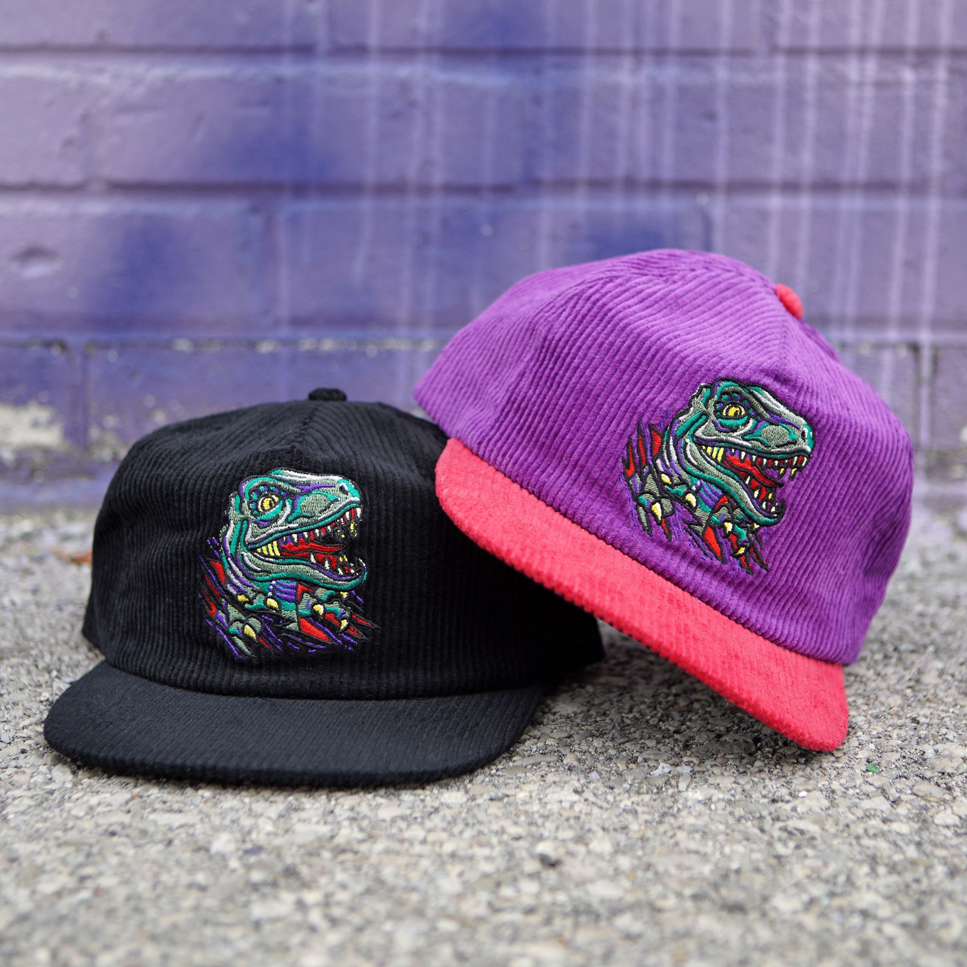 Raptor Corduroy Hat