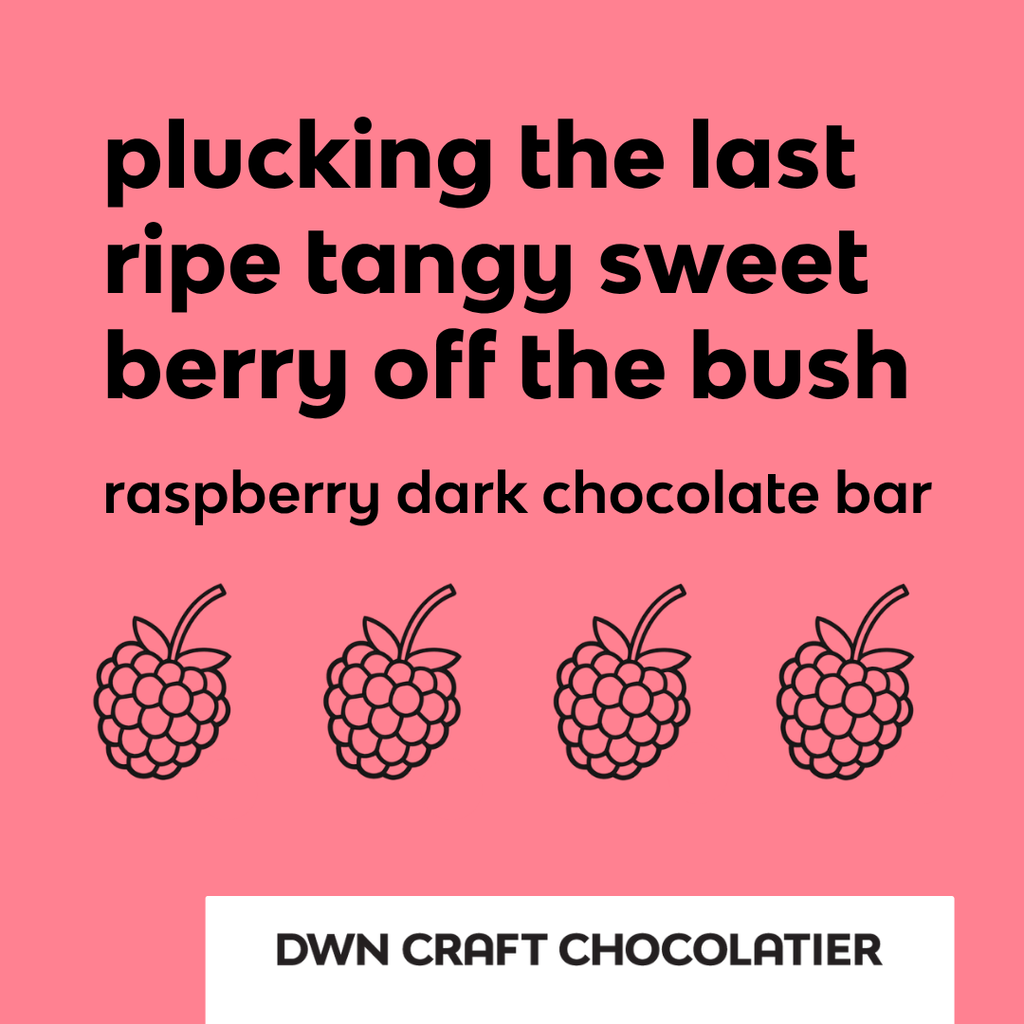 barre de chocolat noir à la framboise
