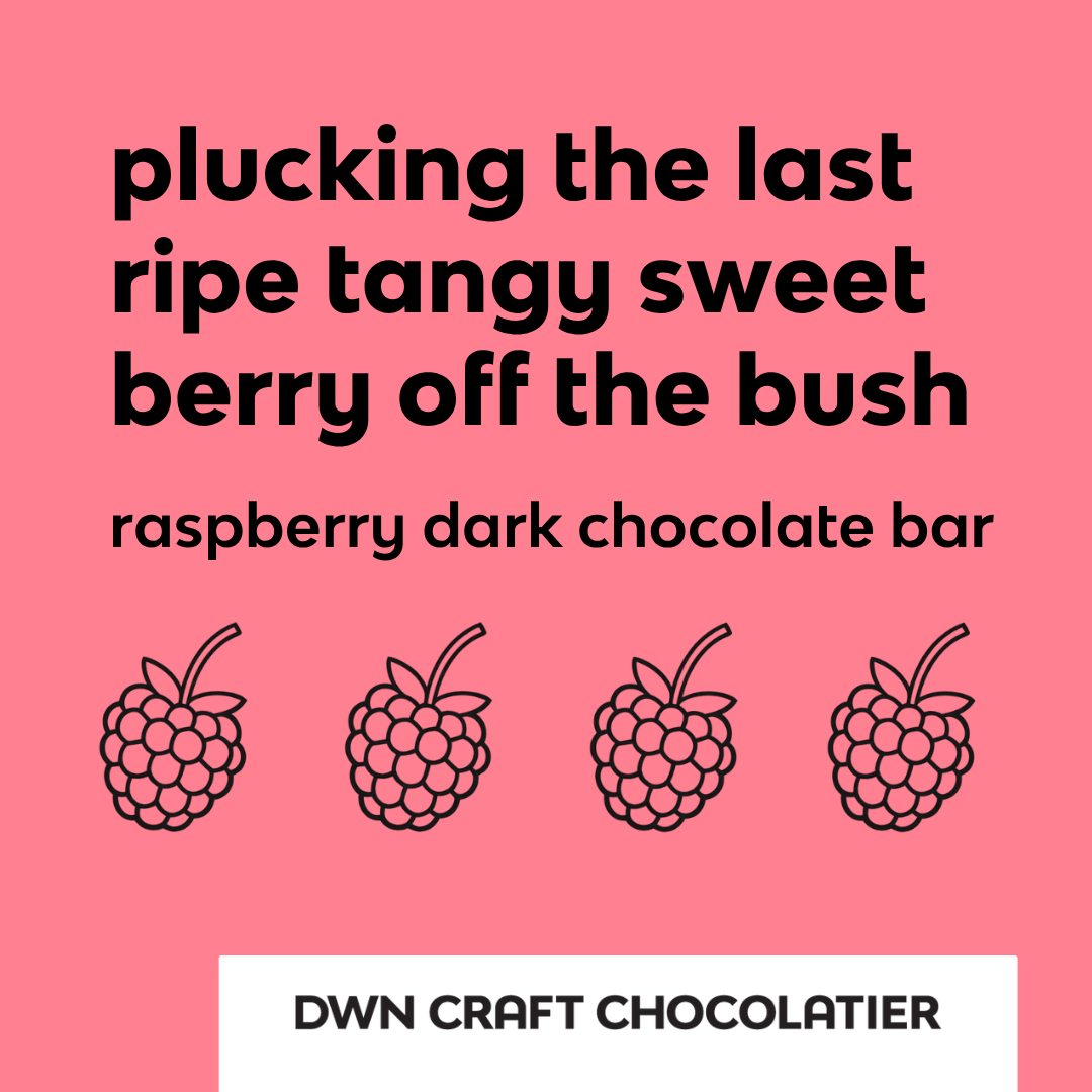 barre de chocolat noir à la framboise
