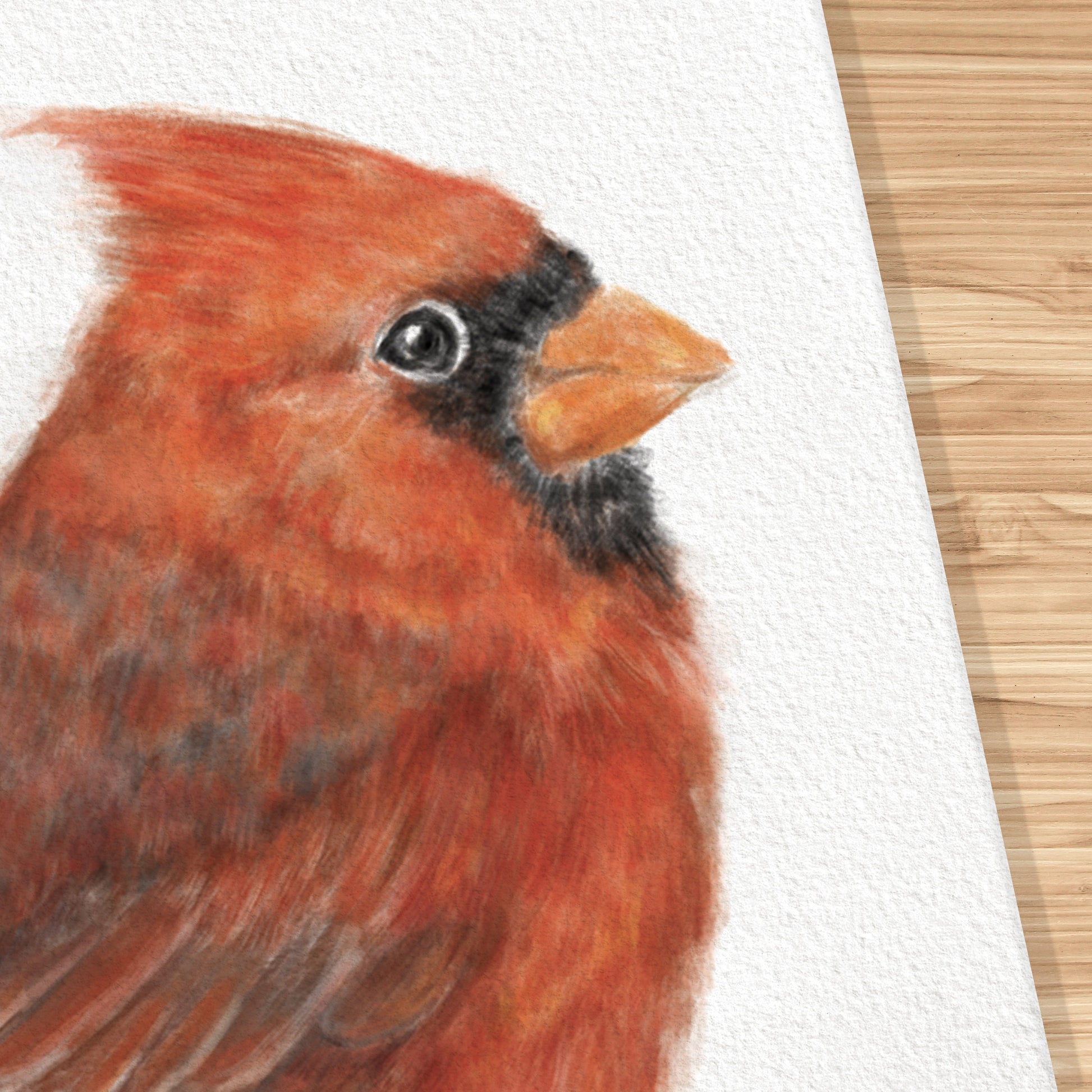 Estampe d'art représentant un cardinal rouge