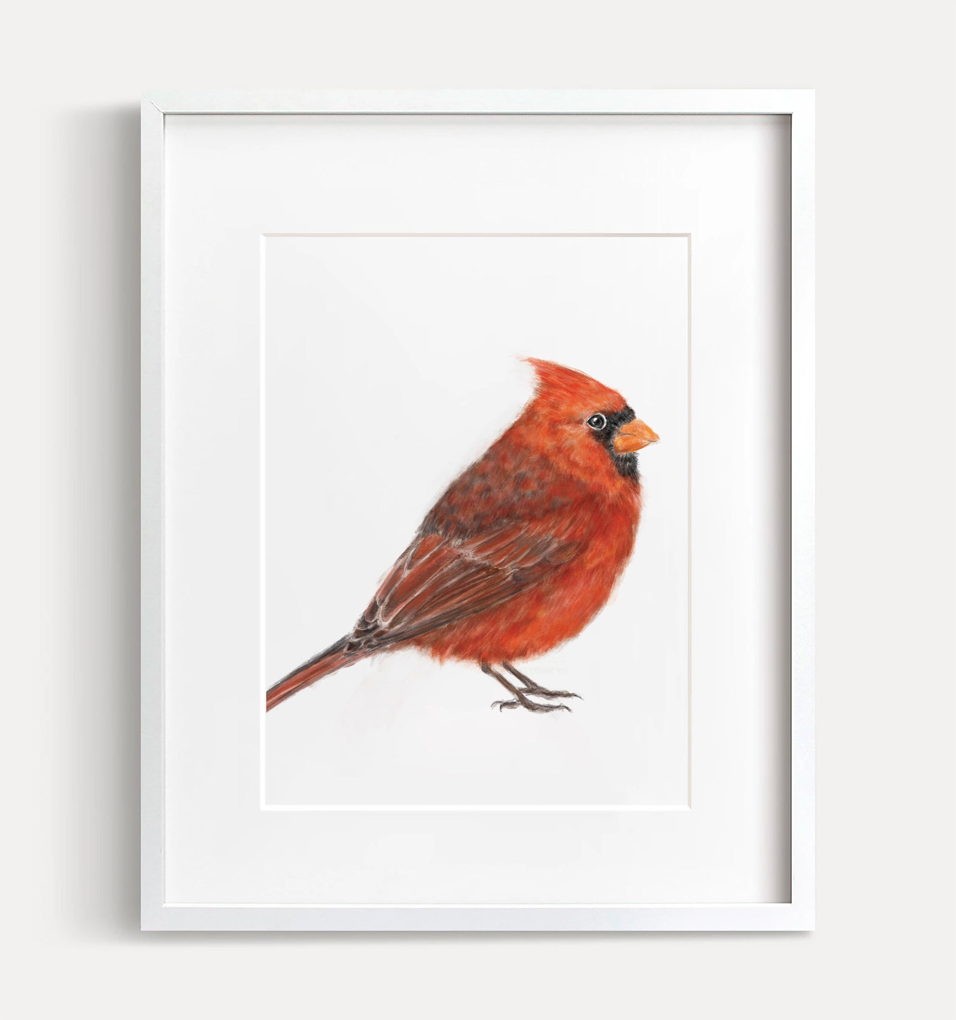 Estampe d'art représentant un cardinal rouge