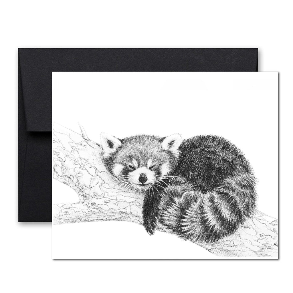 Red Panda greeting card - collaboration with  La Fondation du Zoo de Granby