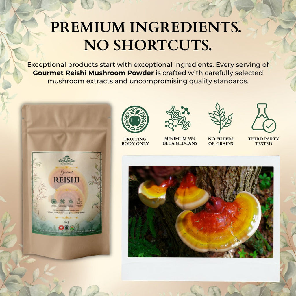 Ecogenya Poudre de champignon Reishi gastronomique – Extrait de corps fructifère biologique, 35 % de bêta-glucanes