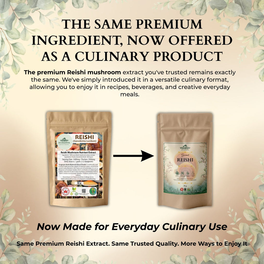 Ecogenya Poudre de champignon Reishi gastronomique – Extrait de corps fructifère biologique, 35 % de bêta-glucanes