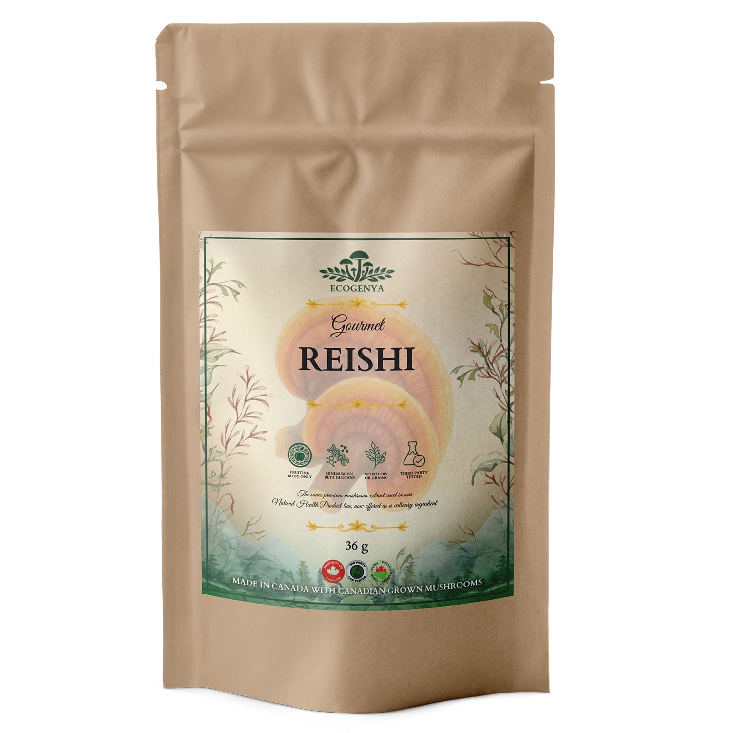Ecogenya Gourmet Reishi Mushroom Powder – Organic Fruiting Body Extract, 35% Beta-Glucans