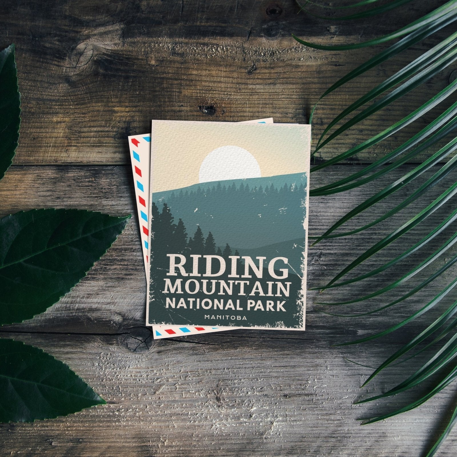Riding Mountain National Park of Canada Postcard