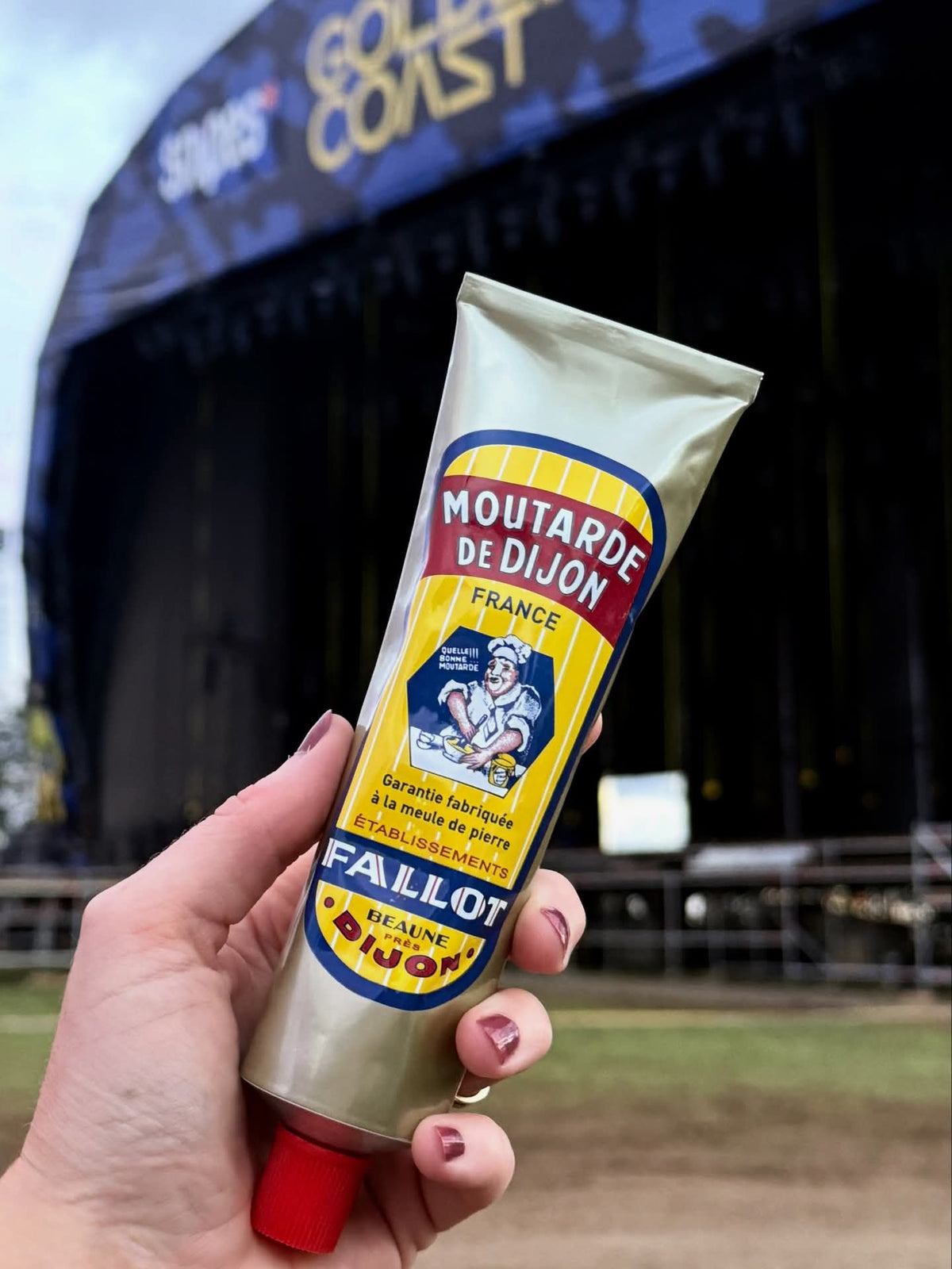 Authentic Dijon Mustard Tube 150g