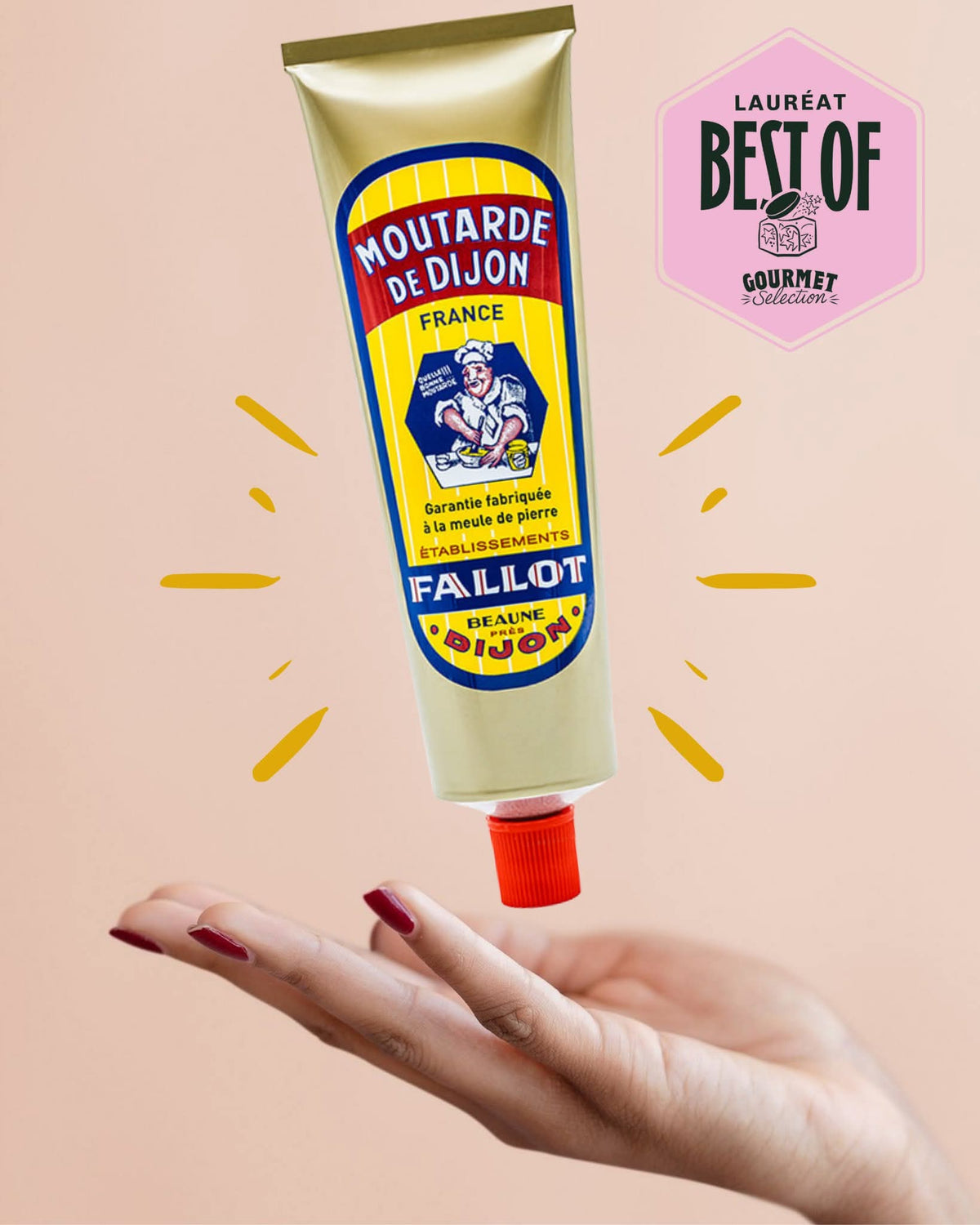 Authentic Dijon Mustard Tube 150g