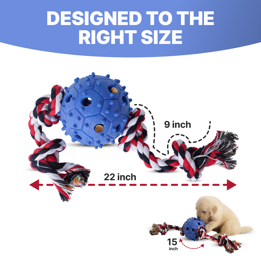 Jouet à mâcher pour chien avec corde à tirer et distributeur de friandises, balle en caoutchouc