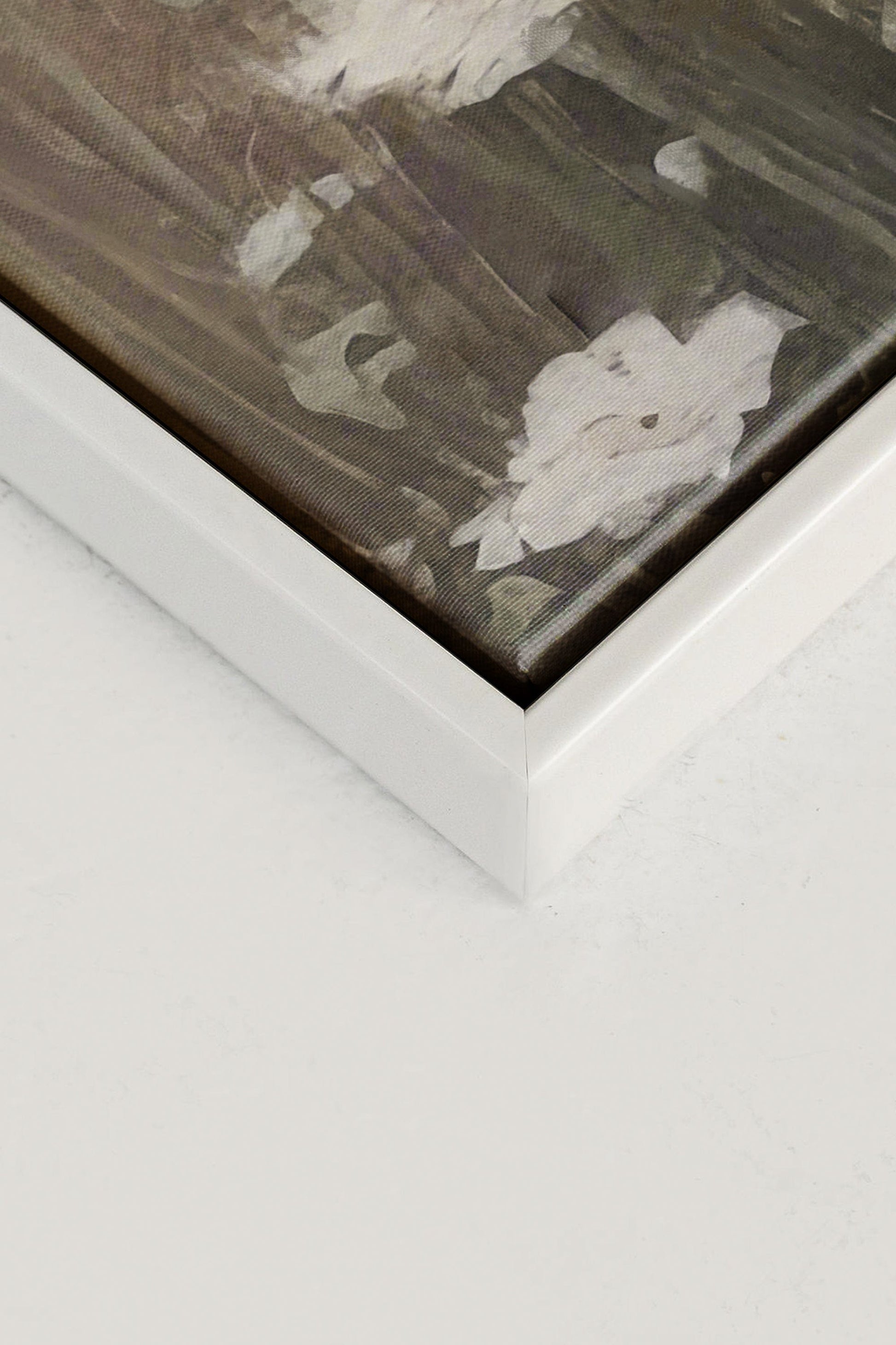 Delicate Blooms, Stretched Canvas Artwork