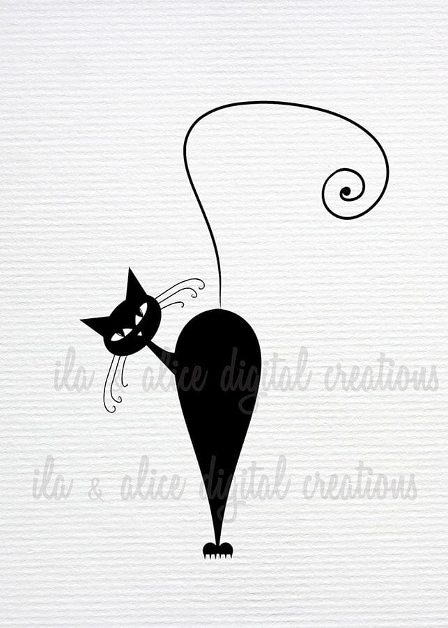 Cartes postales de chat noir