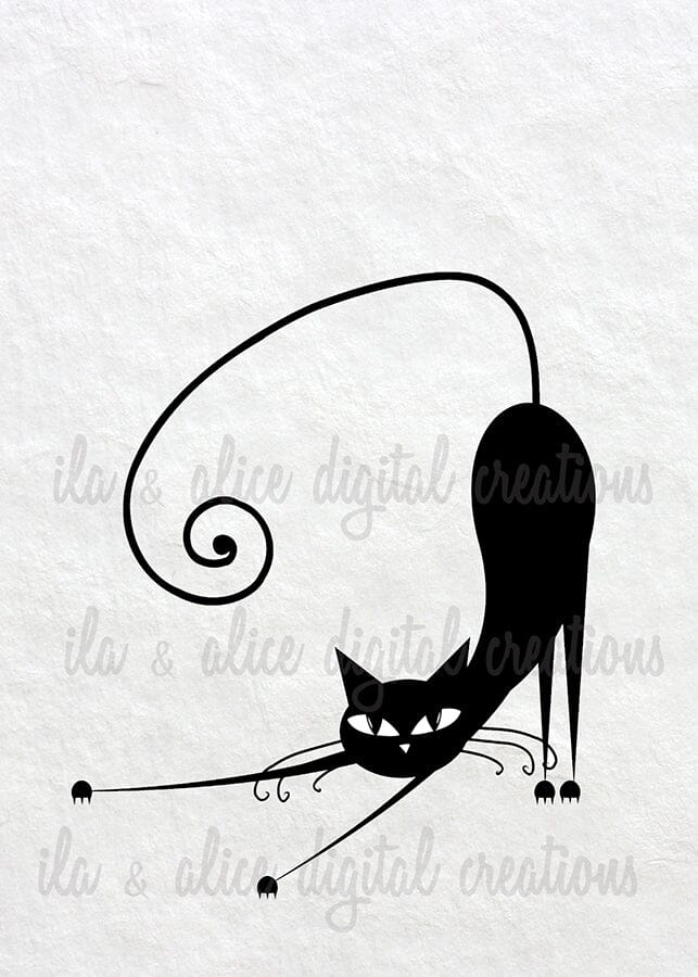 Cartes postales de chat noir