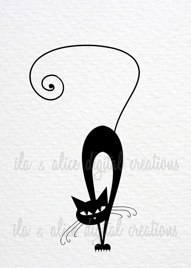 Cartes postales de chat noir