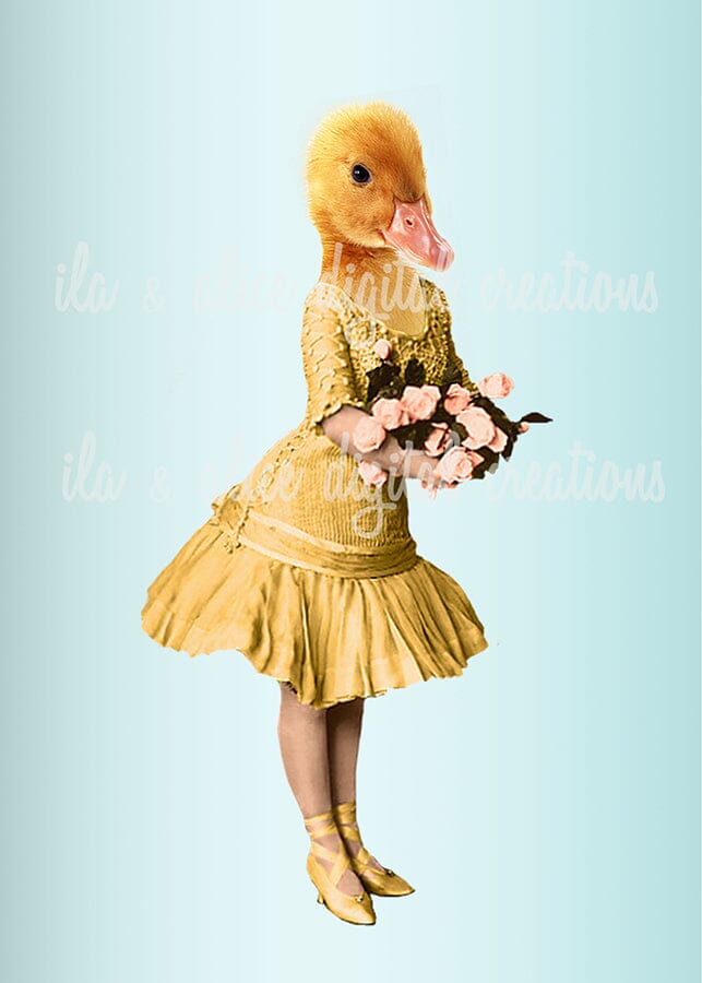 Fashionable with Fur and Feathers Postcards