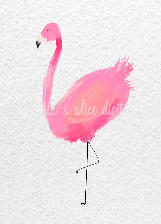 Cartes postales amusantes sur les animaux exotiques