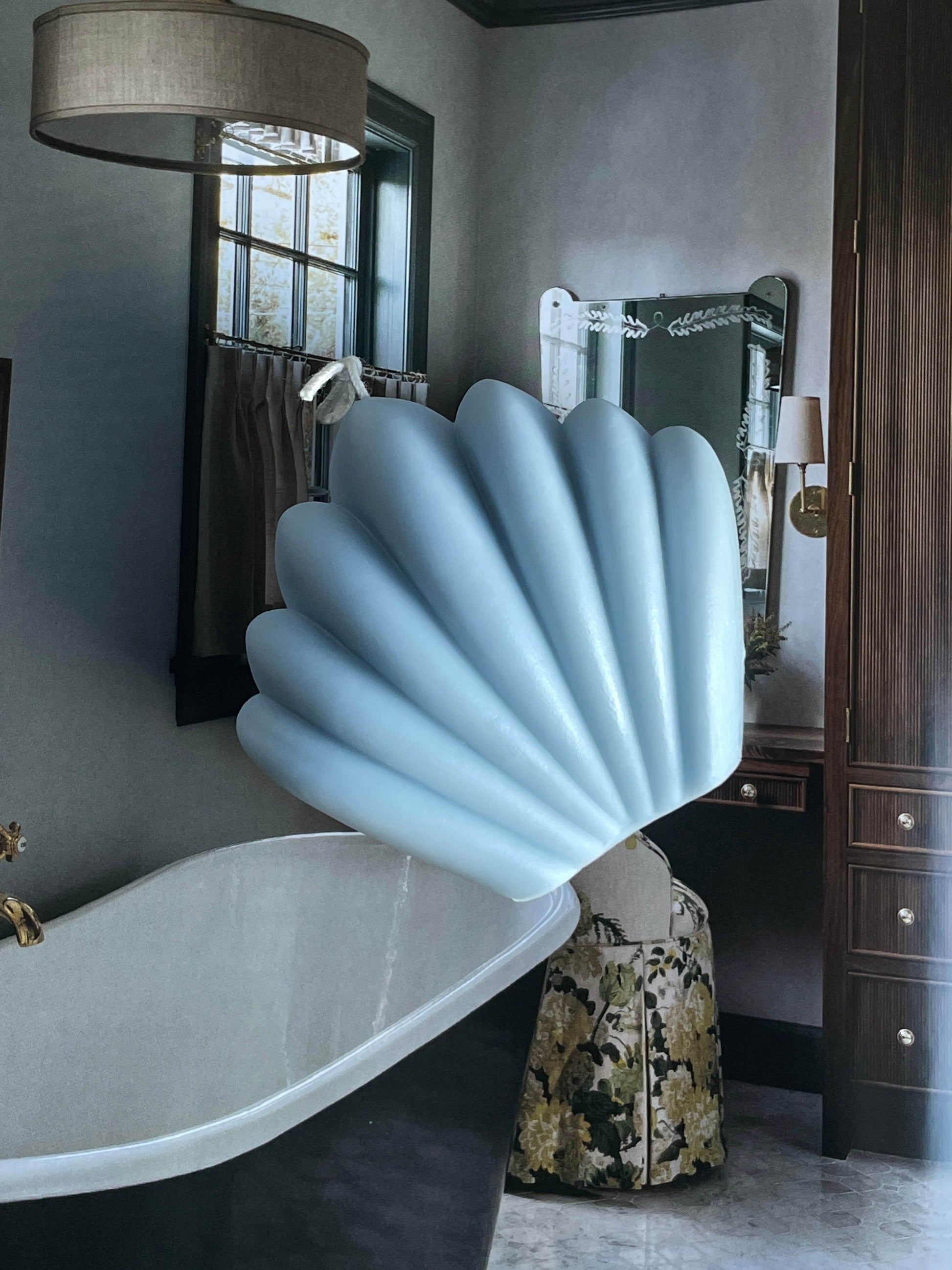 Coquillage élégant