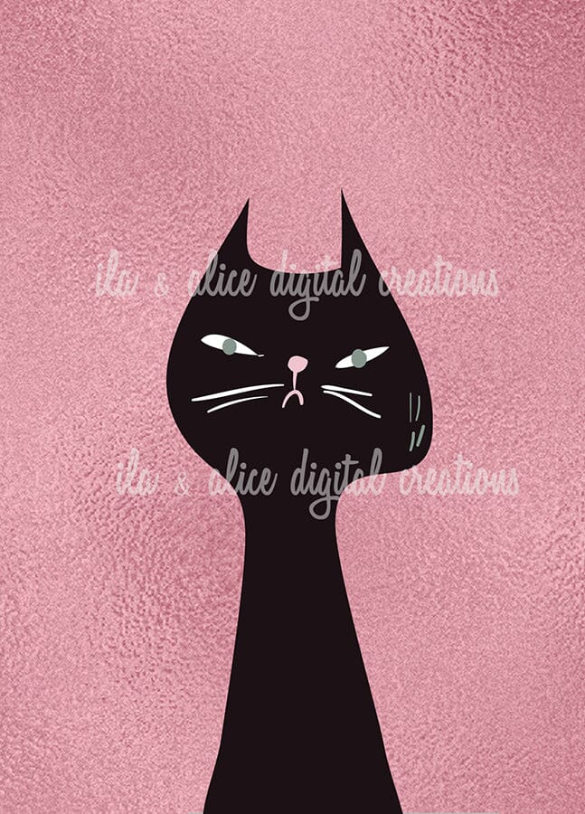 Funny Cat Illustration Postcards