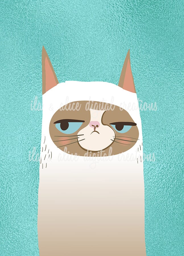 Funny Cat Illustration Postcards