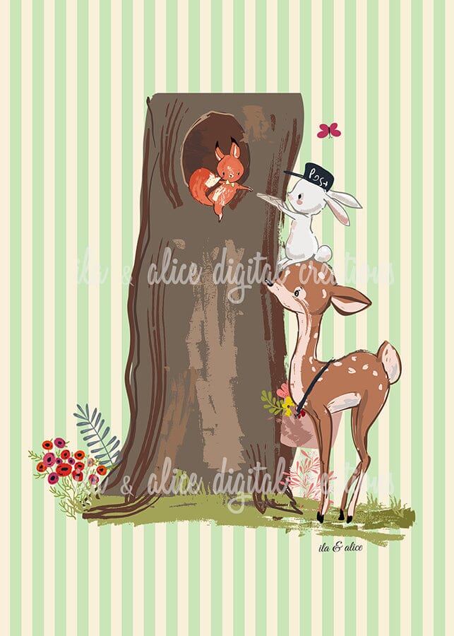Snail Mail Postcards