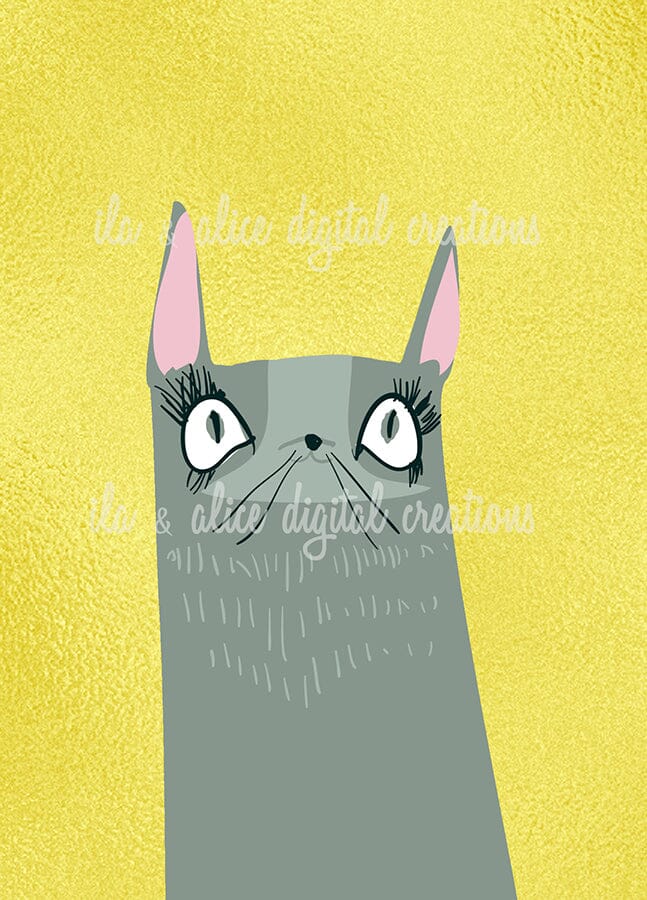Funny Cat Illustration Postcards