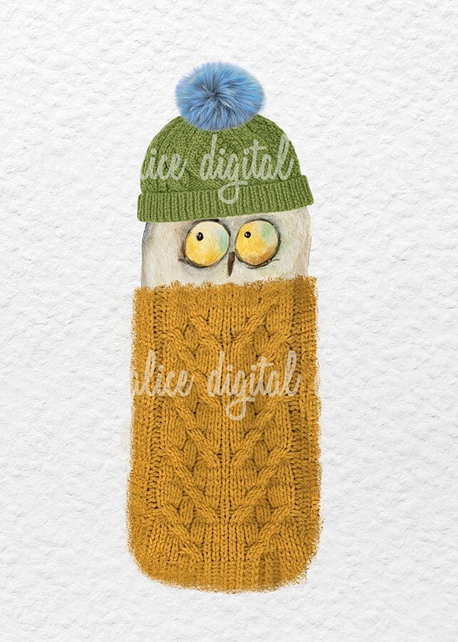Cute Owls in Sweaters Postcards