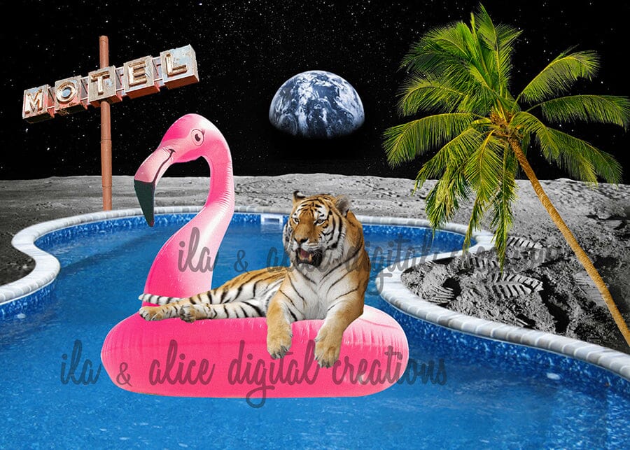 Moon Bathing Tiger in Space-Collage Art Postcards