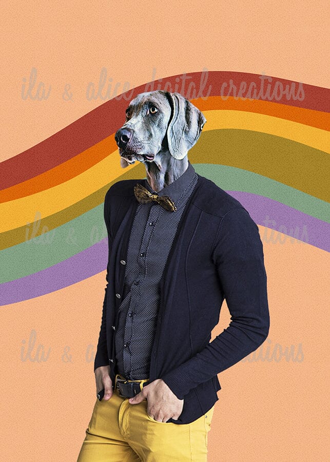 Cool Dude Postcards