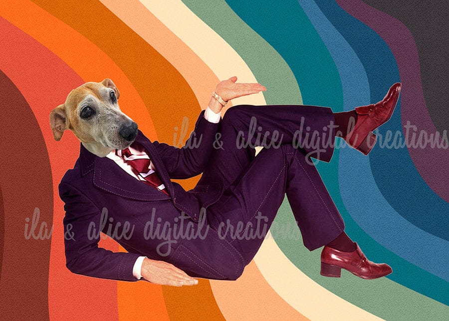 Cool Dude Postcards