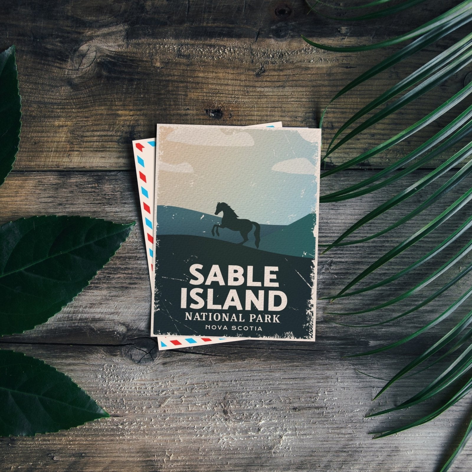 Sable Island National Park of Canada Postcard