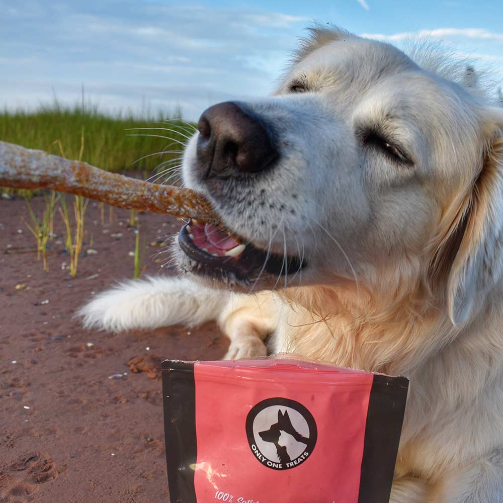 Lanières de peau de saumon 85 g