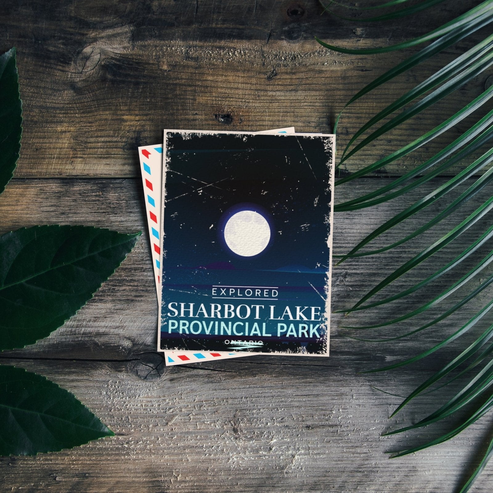 Sharbot Lake Ontario Provincial Park Postcard
