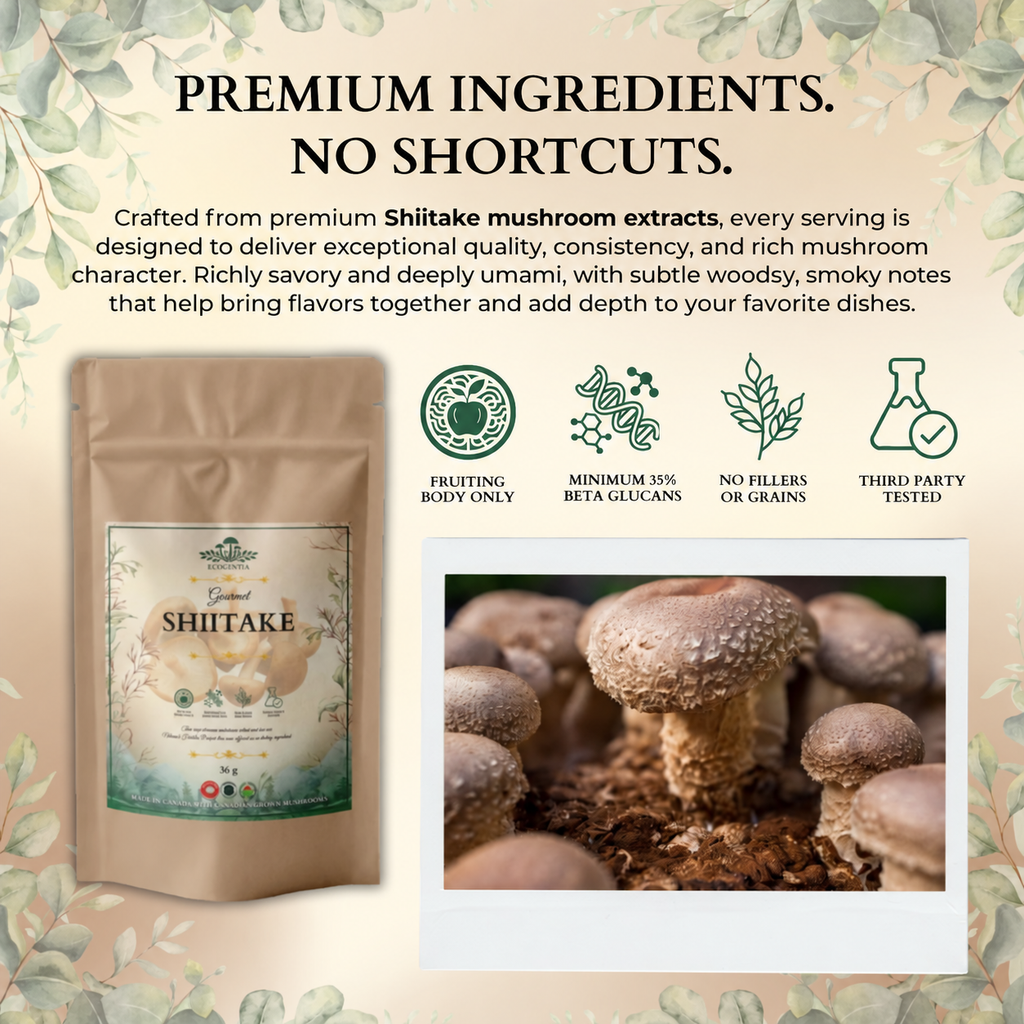 Ecogenya Poudre de champignon Shiitake gastronomique – Extrait de corps fructifère biologique pour la cuisine umami