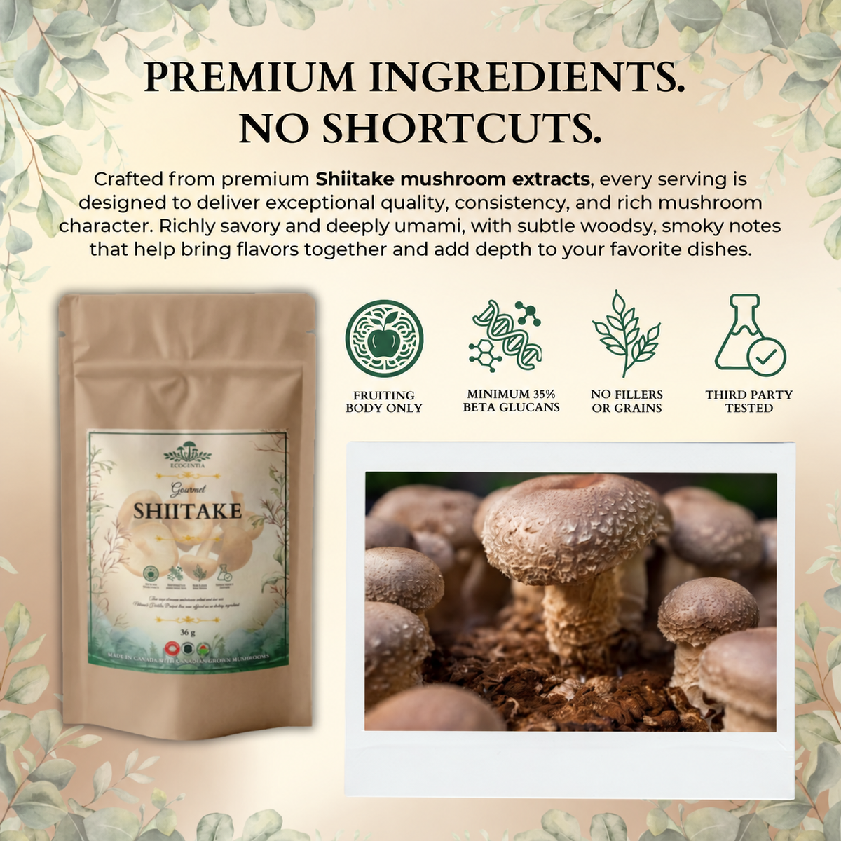 Ecogenya Gourmet Shiitake Mushroom Powder – Organic Fruiting Body Extract for Umami Cooking