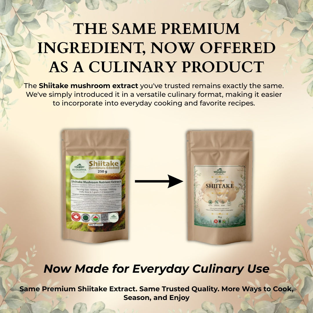 Ecogenya Gourmet Shiitake Mushroom Powder – Organic Fruiting Body Extract for Umami Cooking