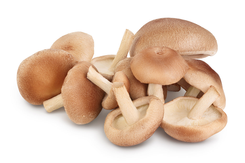 Organic Shiitake Mushroom Powder