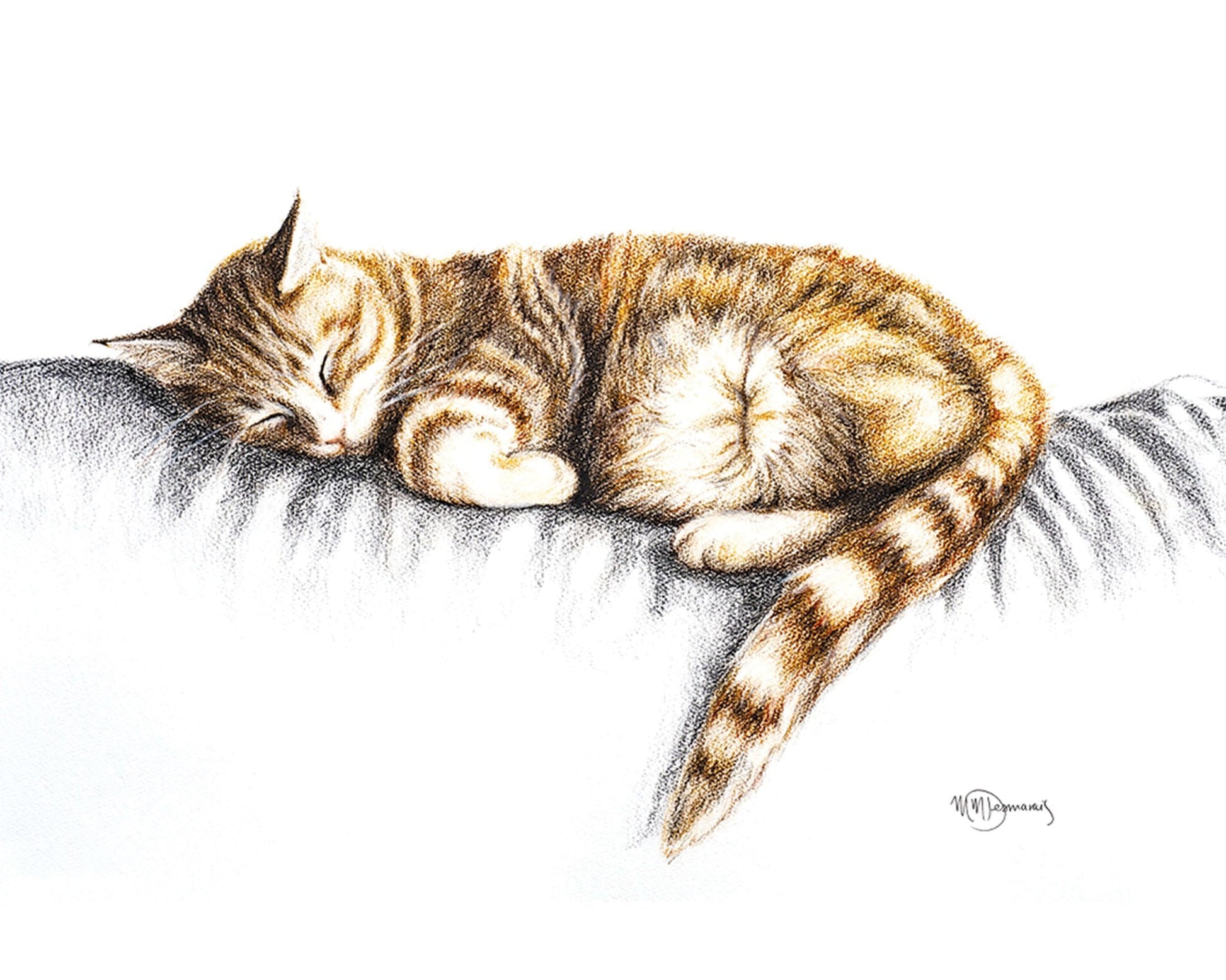 Sleeping Cat - Greeting Card